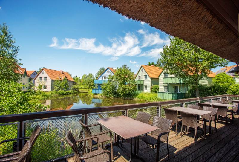 _Z2A3531 (4)-Kopieren(3)